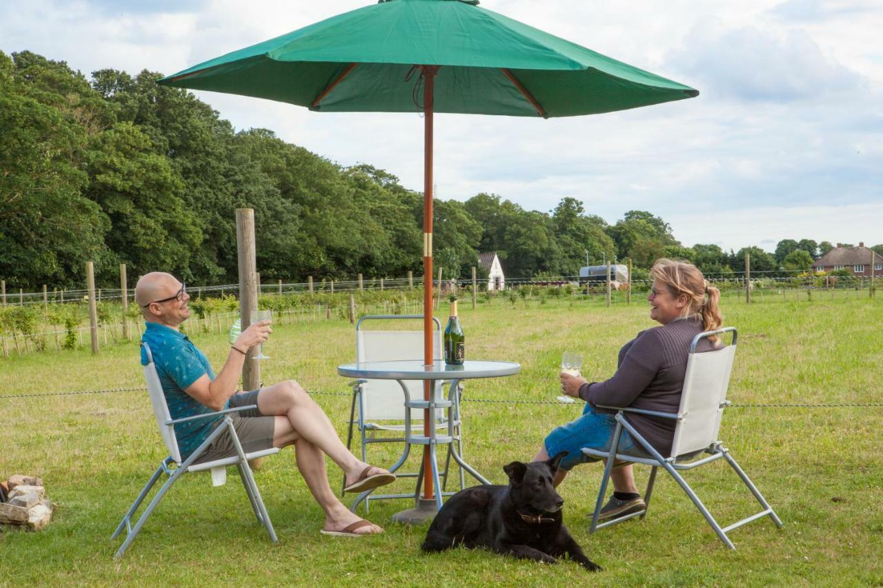 Quex Livery Glamping Birchington-on-Sea Exteriör bild